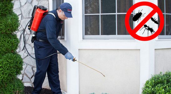 Merzifon Akrep İlaçlama böcek ilaçlama ve haşere kontrolü — ilaclama-tr.com